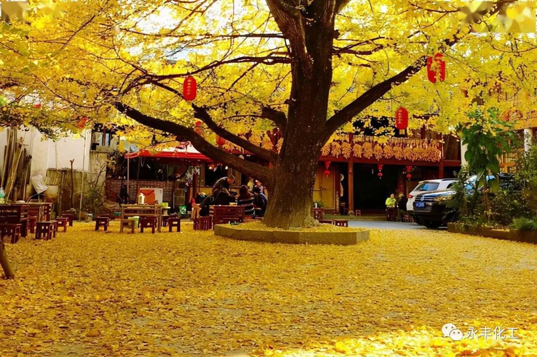 七彩云南，邂逅浪漫