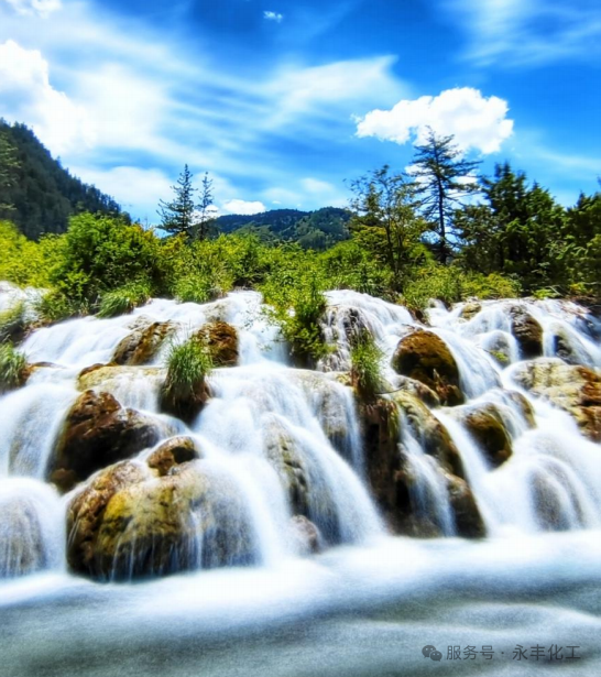 2025年10月九寨溝都江堰團(tuán)建之旅